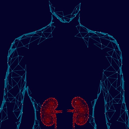 Preguntas frecuentes sobre Los mejores urólogos en Torreón Coahuila