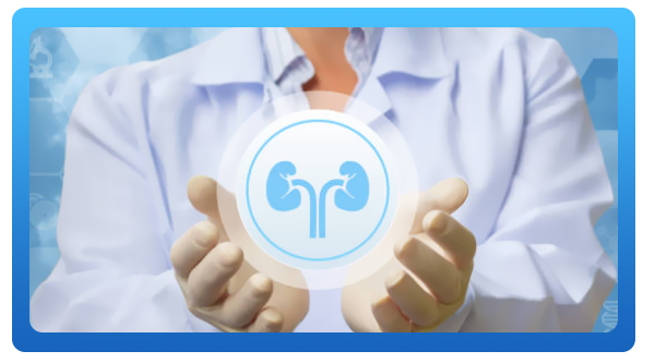 Precio consulta Urólogo