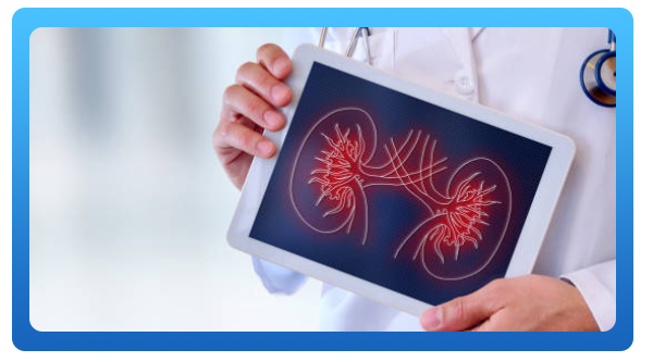 ¿Qué hace un urólogo?